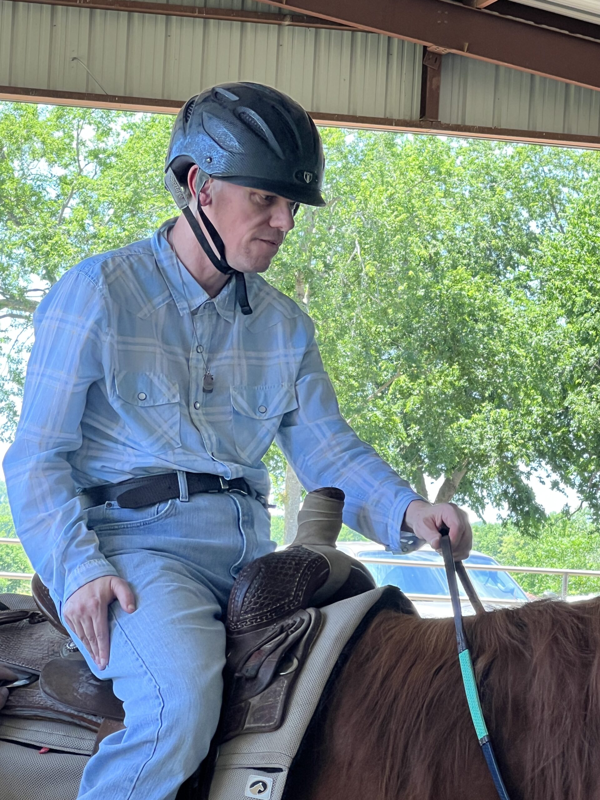 therapeutic horsemanship