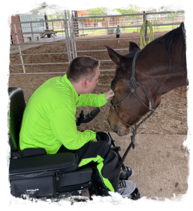 Horse therapy testimonies