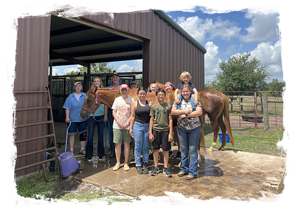 Volunteers at Wonderhill Farm