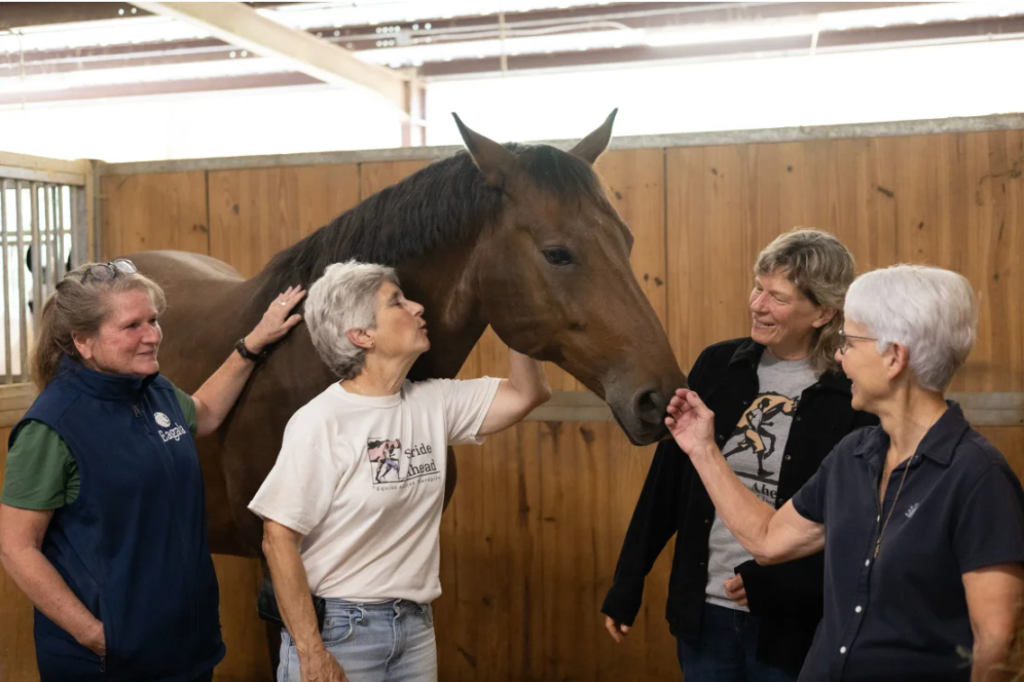 equine-assisted psychotherapy