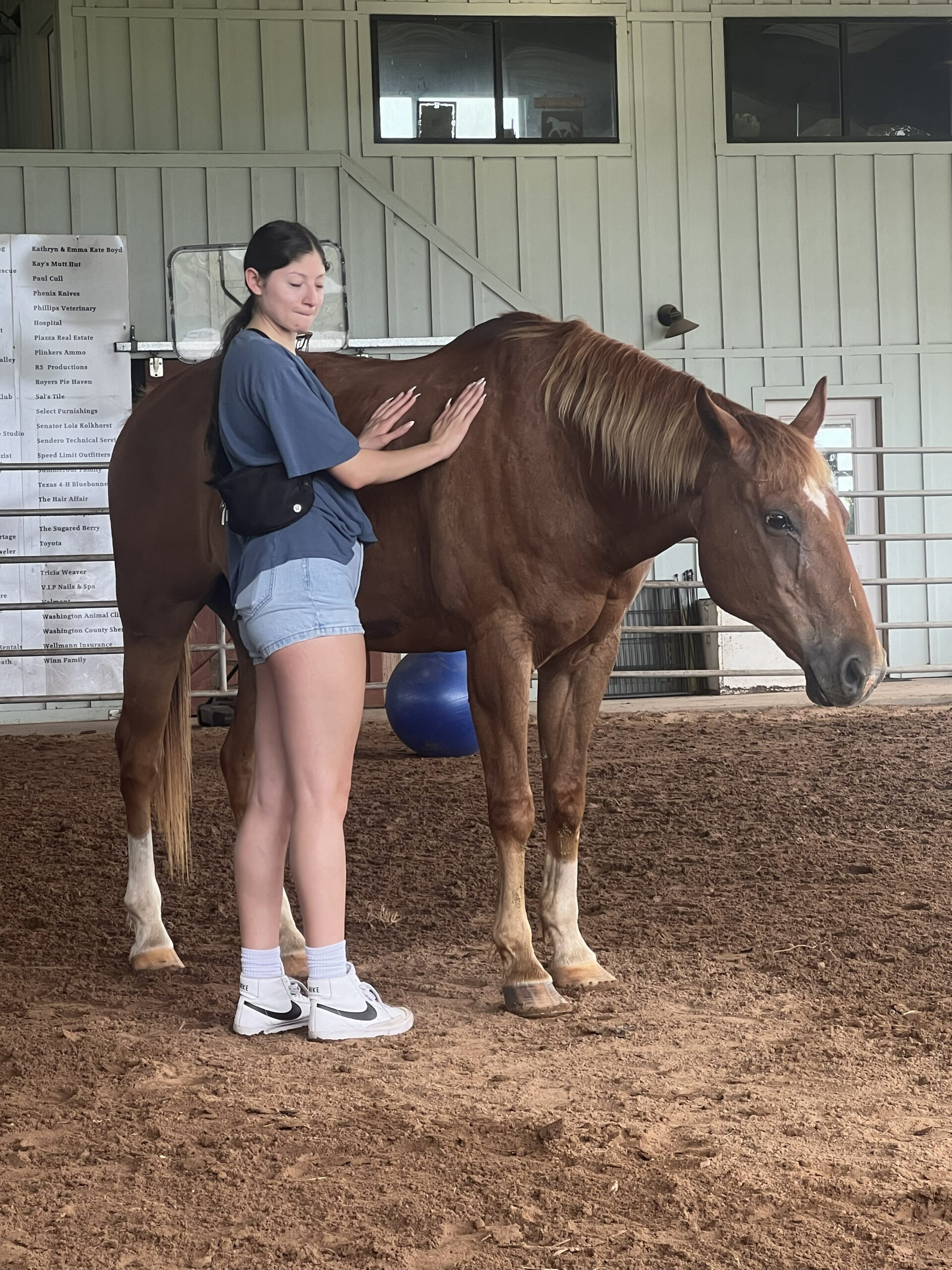 Spirit of Connection with horses
